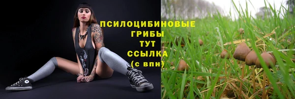 СК Гусиноозёрск