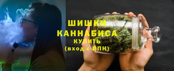 стафф Гусь-Хрустальный