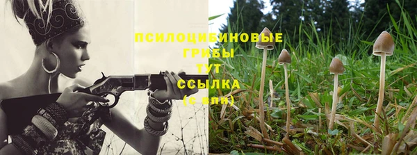 МДПВ Осташков