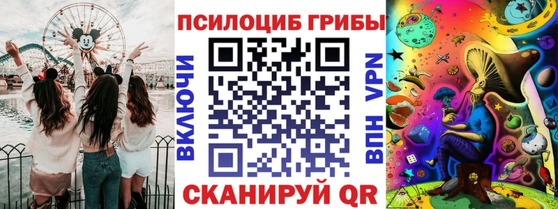 мега tor  Пущино  Галлюциногенные грибы Psilocybe 